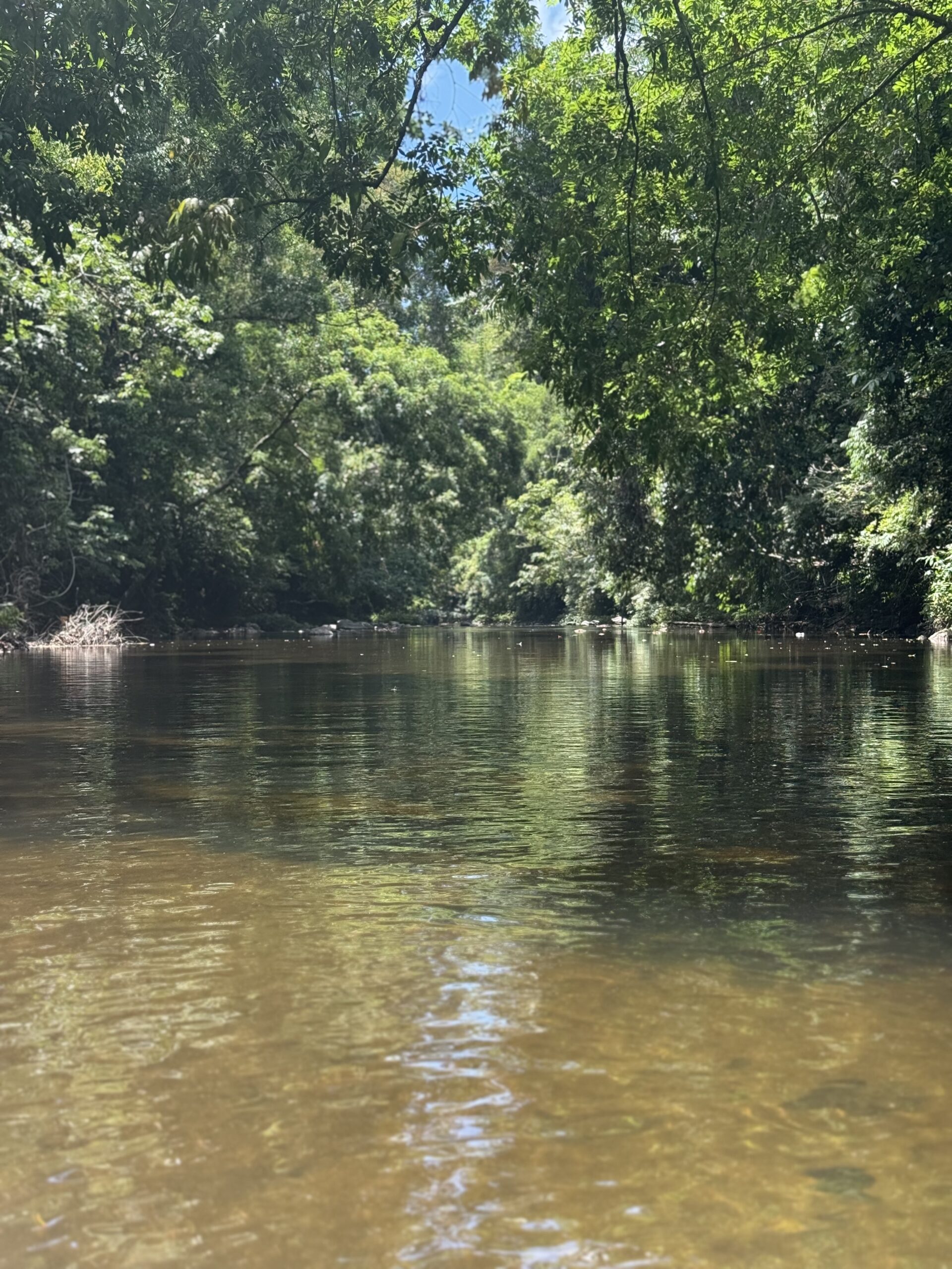 River tubing in Belize - Burge Family