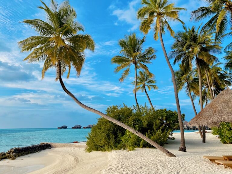 Barbados Beaches: The Honest Guide for 2026